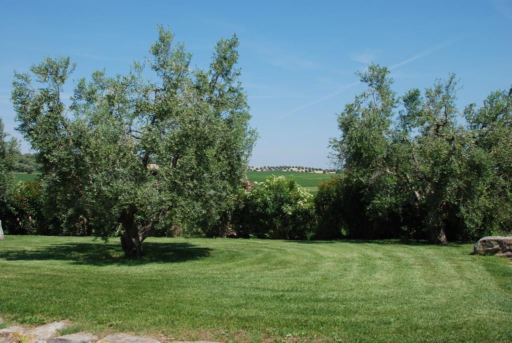Agriturismo Le Coccinelle Guest House Magliano in Toscana Exterior photo