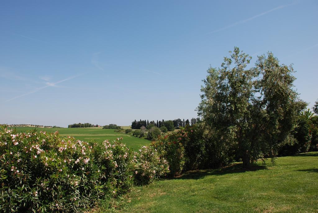 Agriturismo Le Coccinelle Guest House Magliano in Toscana Exterior photo